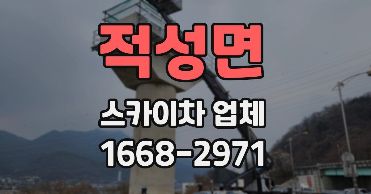 적성면 스카이차 업체