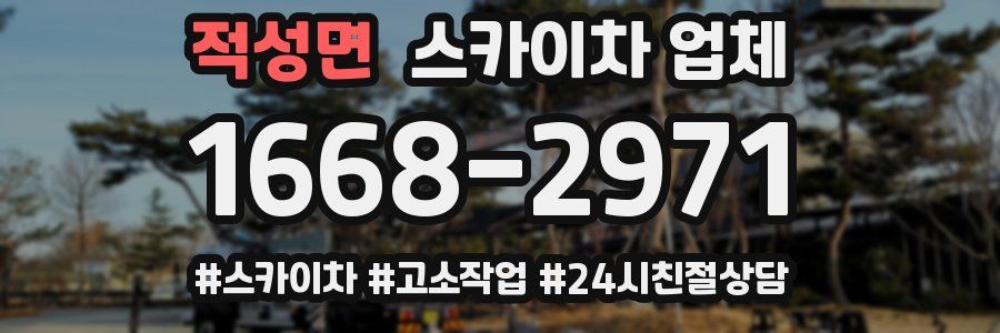 적성면 스카이차 업체
