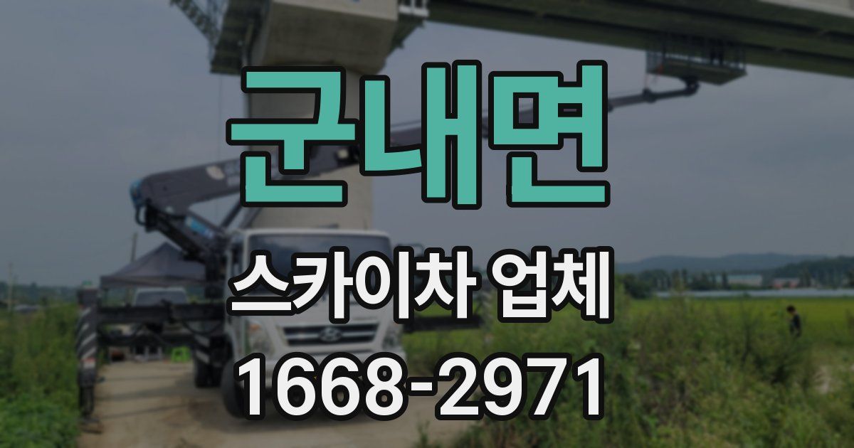 군내면 스카이차 업체