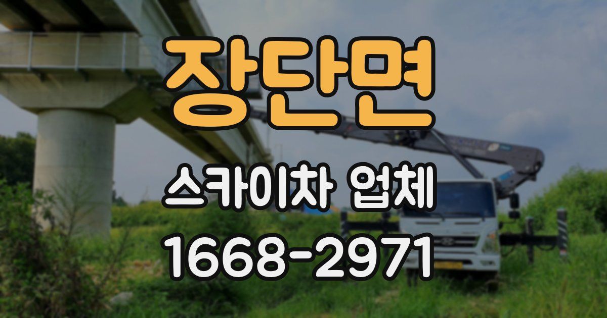 장단면 스카이차 업체