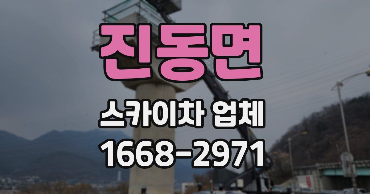 진동면 스카이차 업체