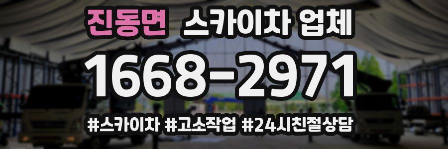 진동면 스카이차 업체