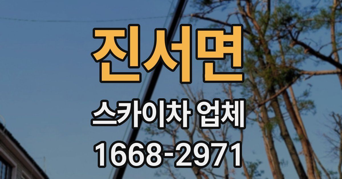 진서면 스카이차 업체