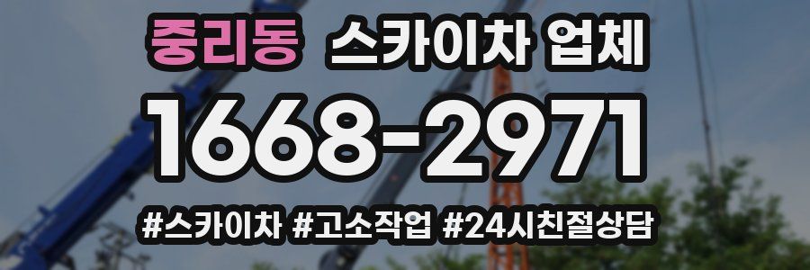 중리동 스카이차 업체