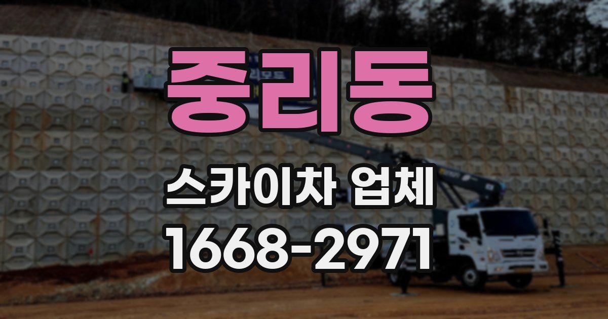 중리동 스카이차 업체