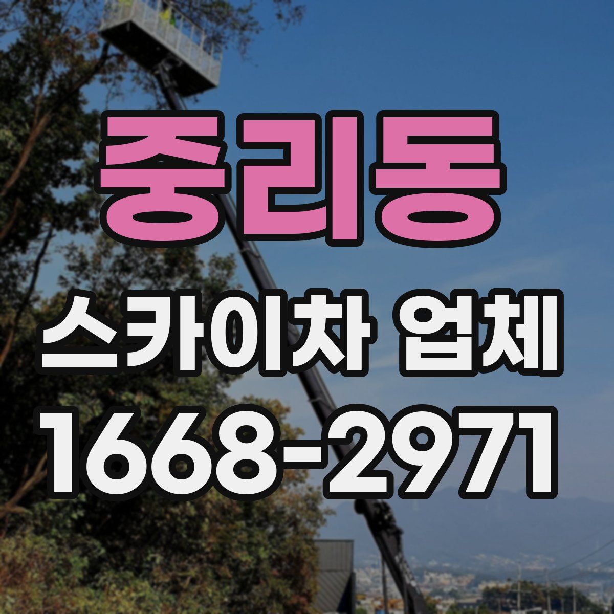 중리동 스카이차 업체