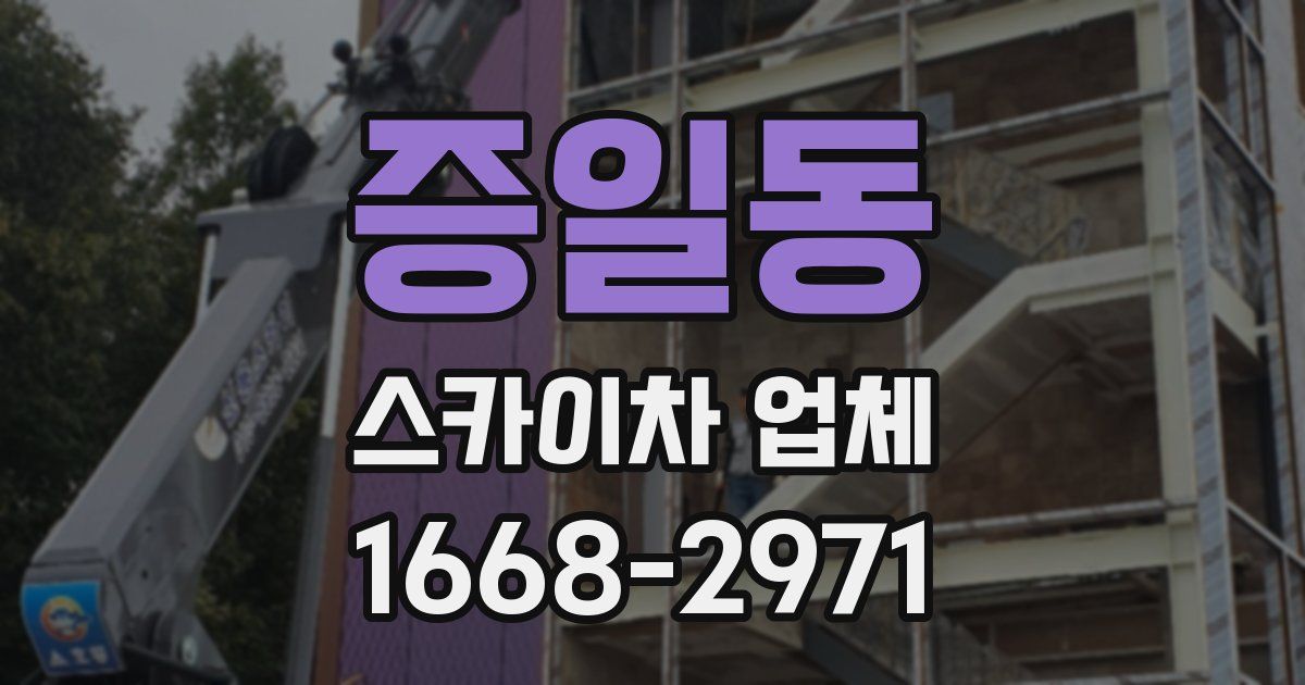증일동 스카이차 업체