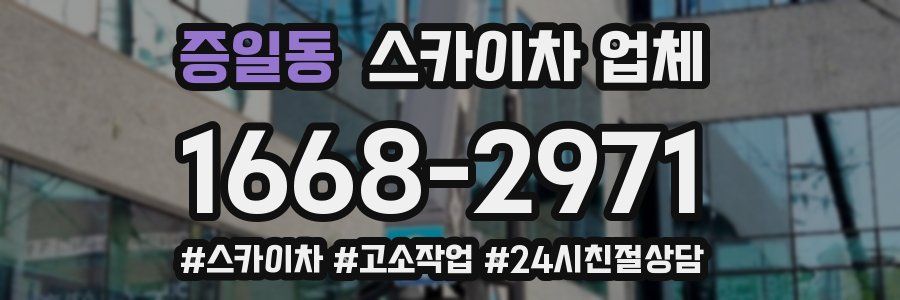 증일동 스카이차 업체