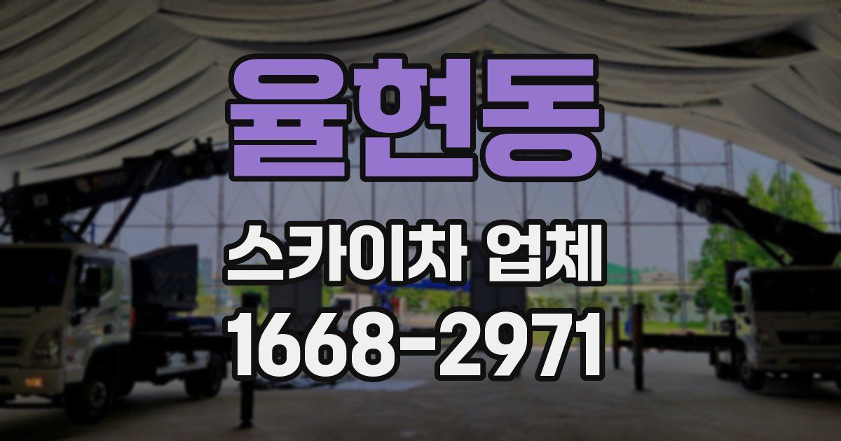 율현동 스카이차 업체