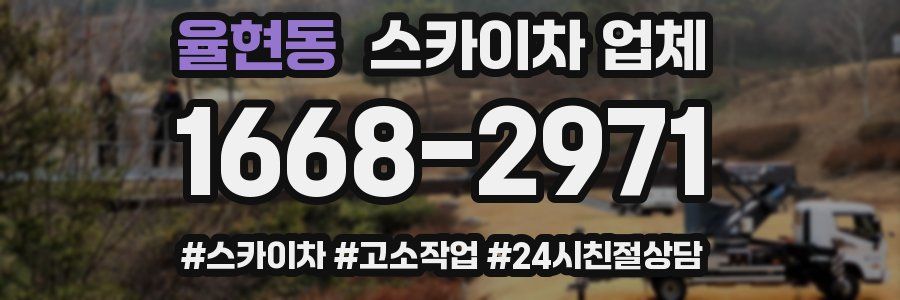 율현동 스카이차 업체