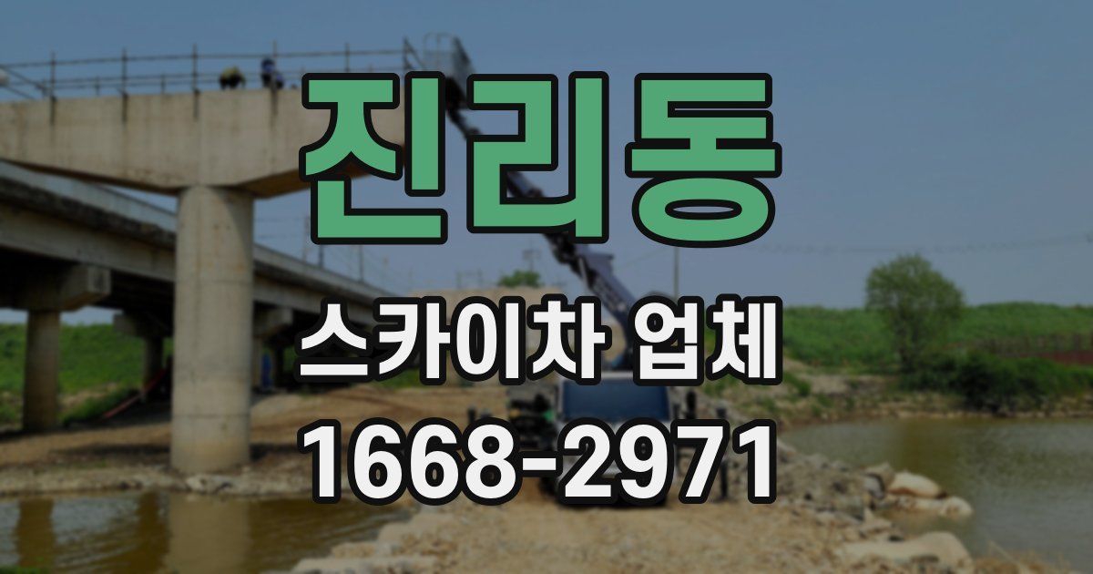 진리동 스카이차 업체