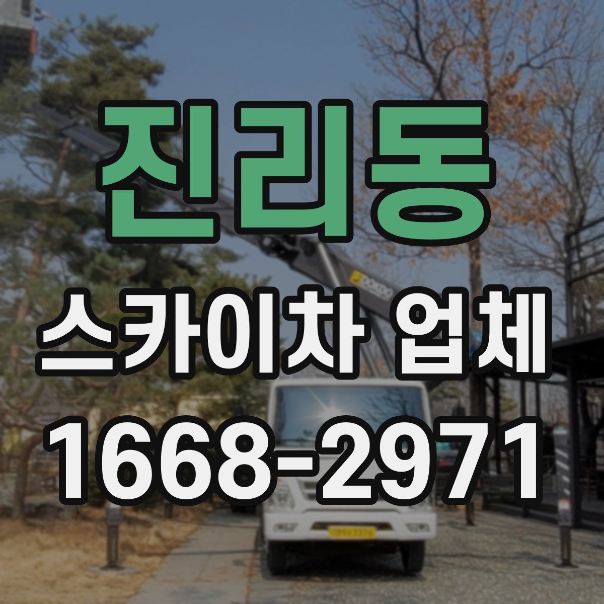 진리동 스카이차 업체