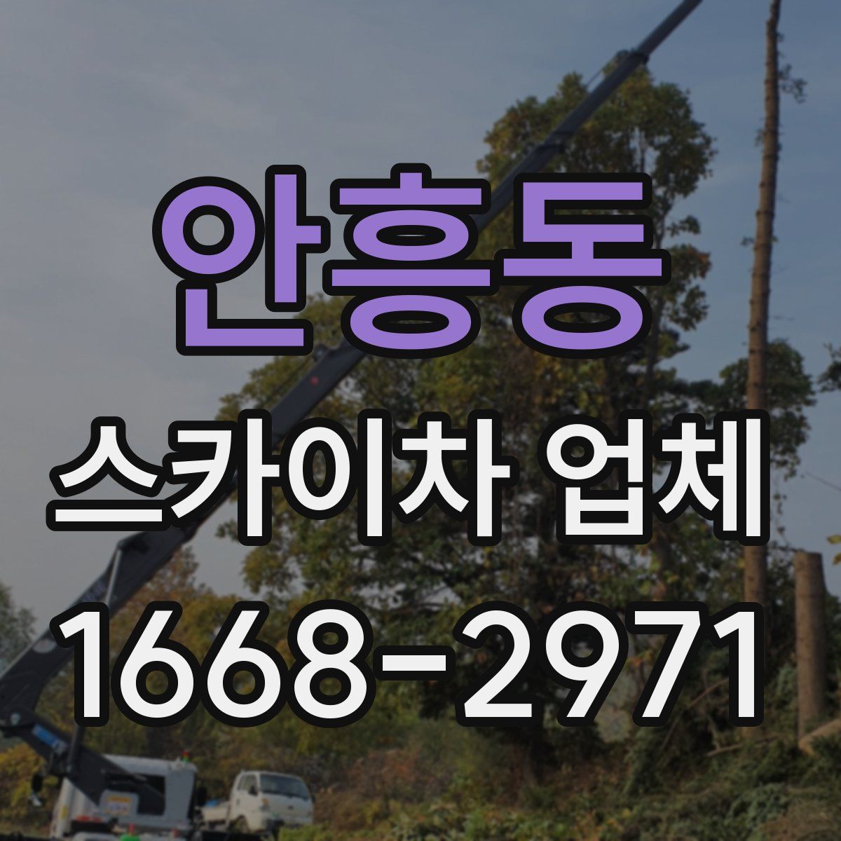 안흥동 스카이차 업체