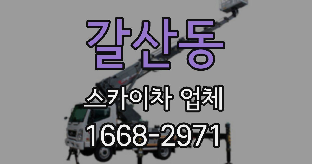 갈산동 스카이차 업체