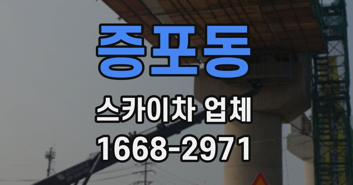 증포동 스카이차 업체
