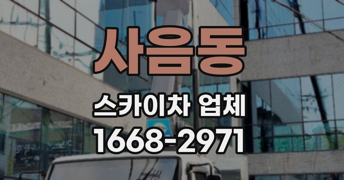 사음동 스카이차 업체