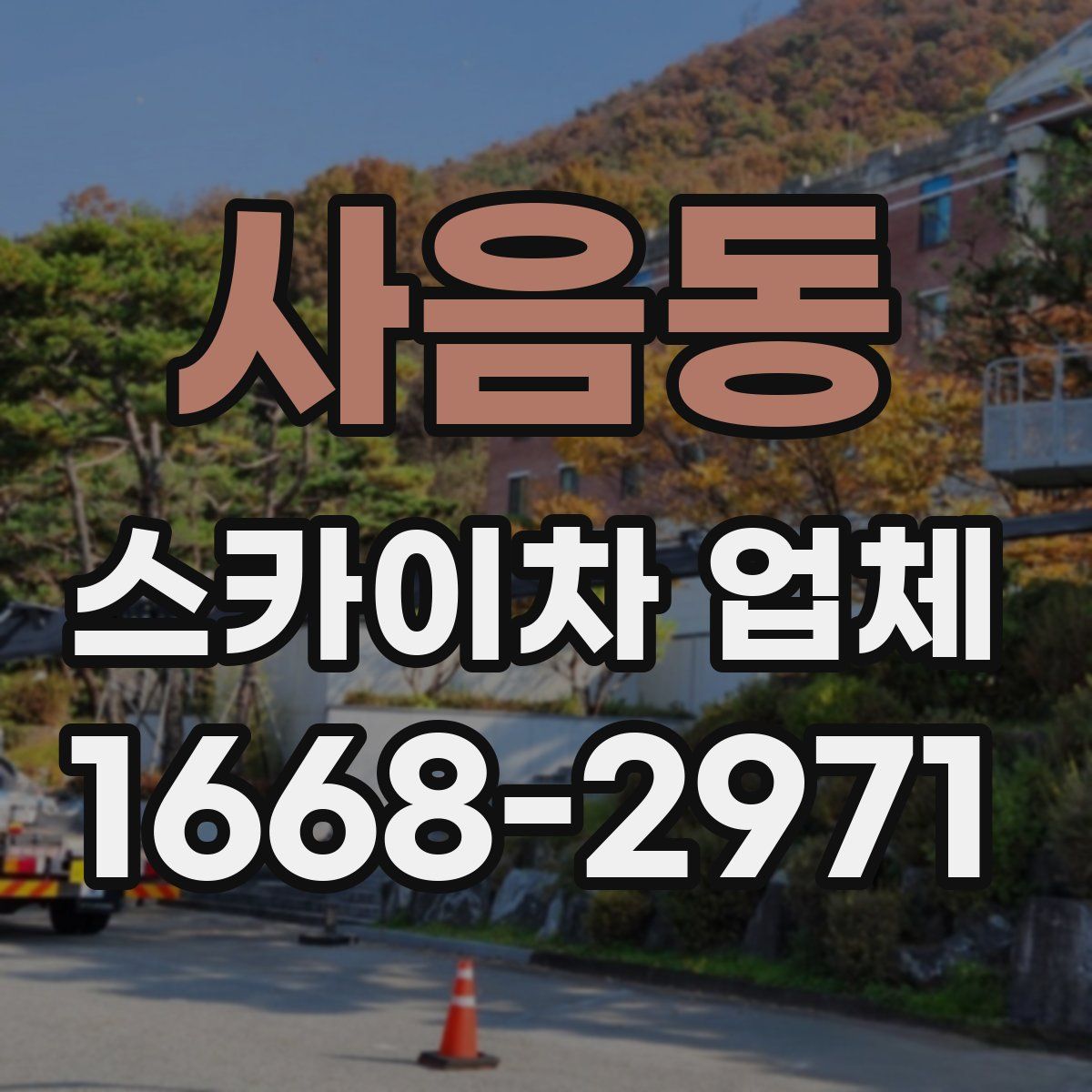 사음동 스카이차 업체