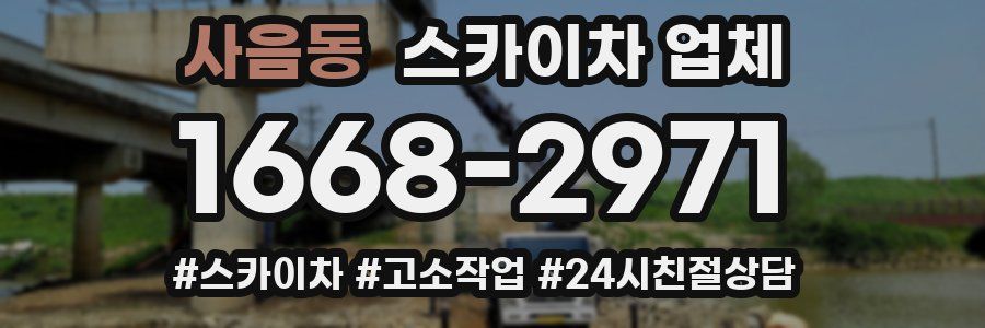 사음동 스카이차 업체