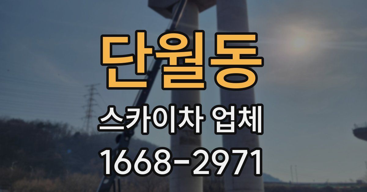 단월동 스카이차 업체