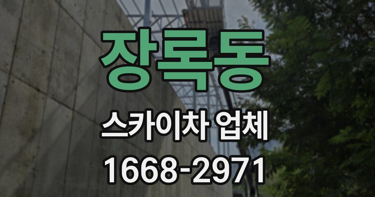 장록동 스카이차 업체