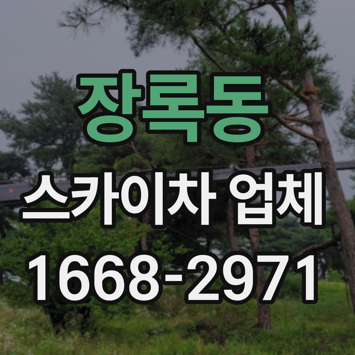 장록동 스카이차 업체