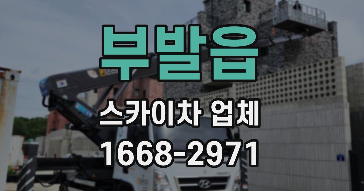 부발읍 스카이차 업체