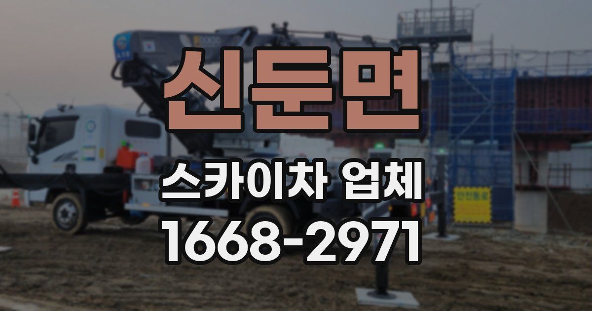 신둔면 스카이차 업체