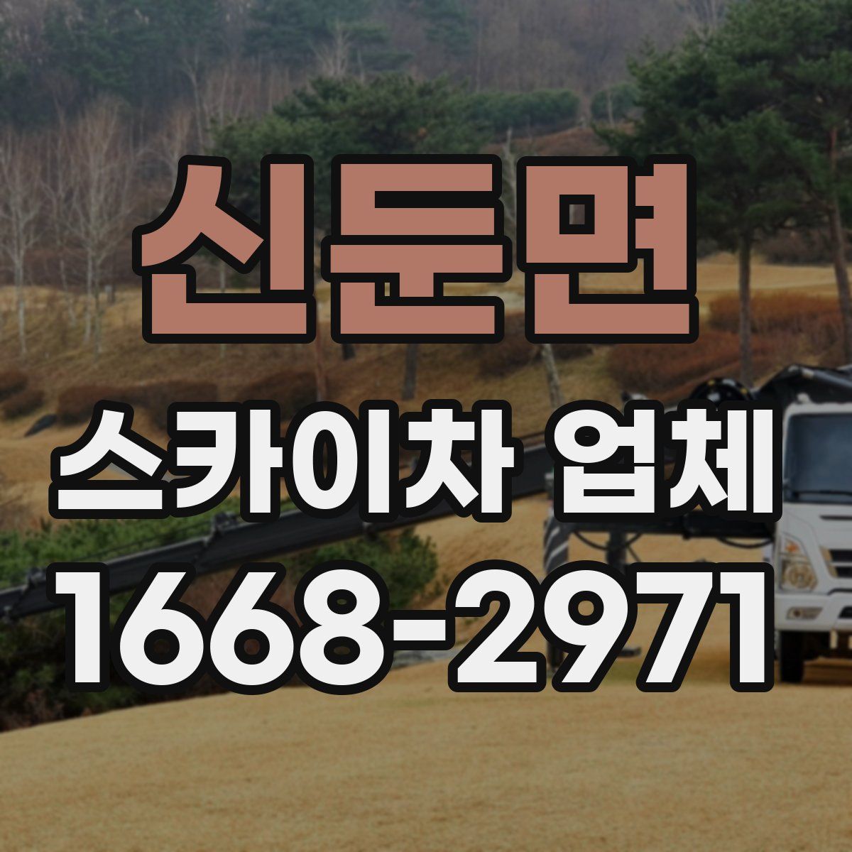 신둔면 스카이차 업체