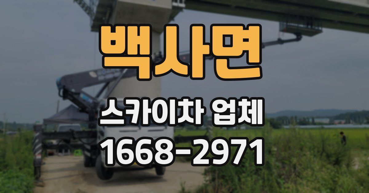 백사면 스카이차 업체