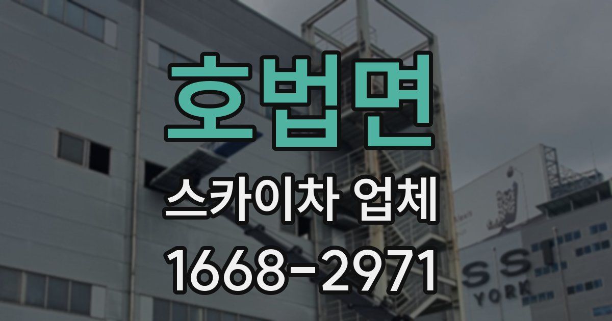 호법면 스카이차 업체