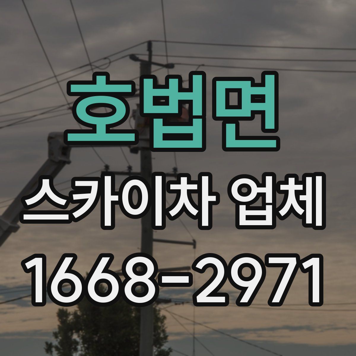 호법면 스카이차 업체
