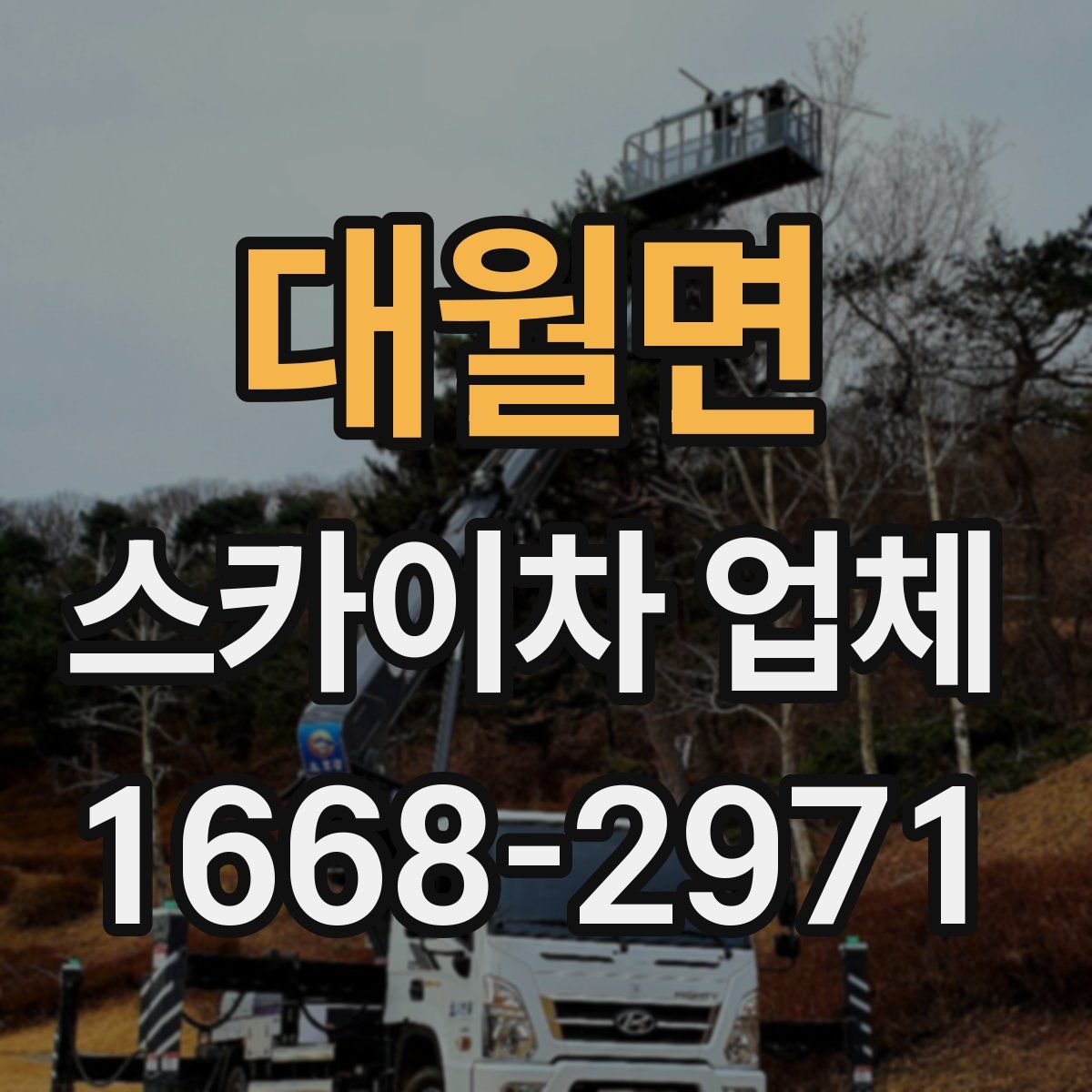 대월면 스카이차 업체