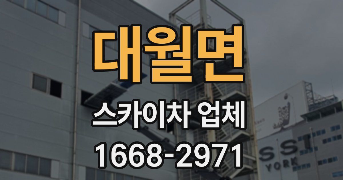 대월면 스카이차 업체