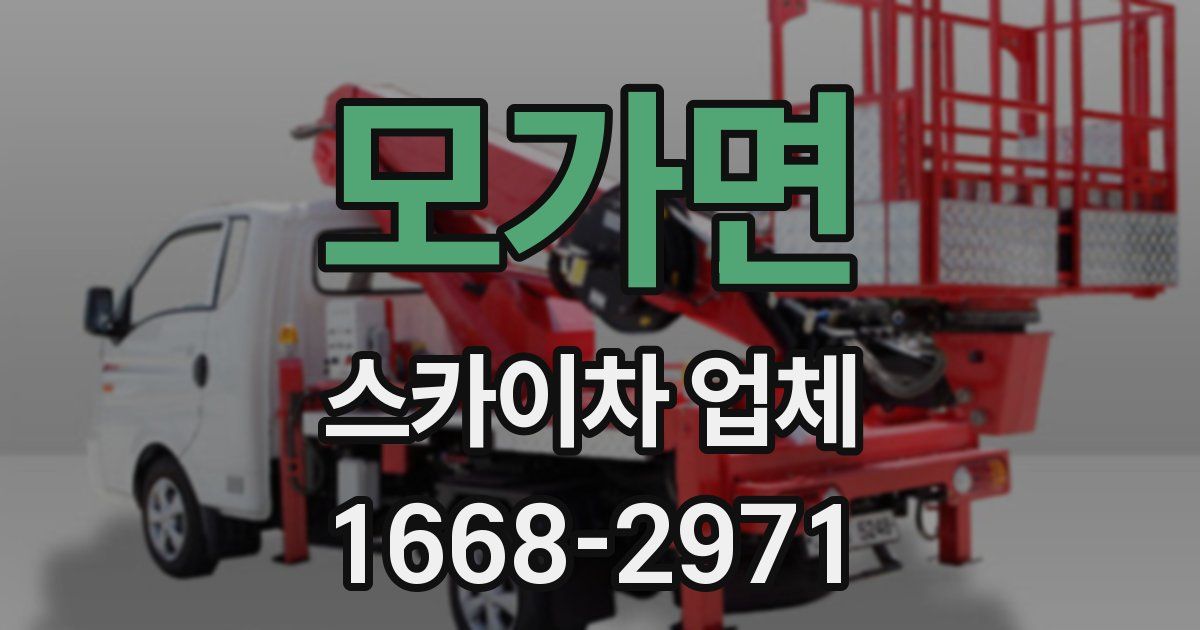 모가면 스카이차 업체