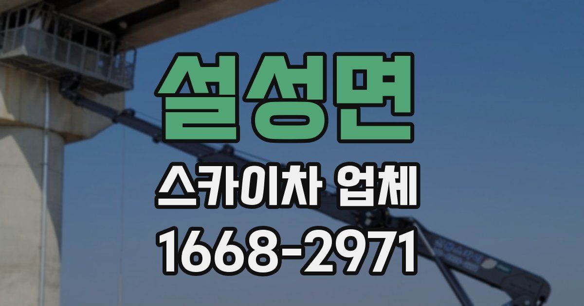 설성면 스카이차 업체