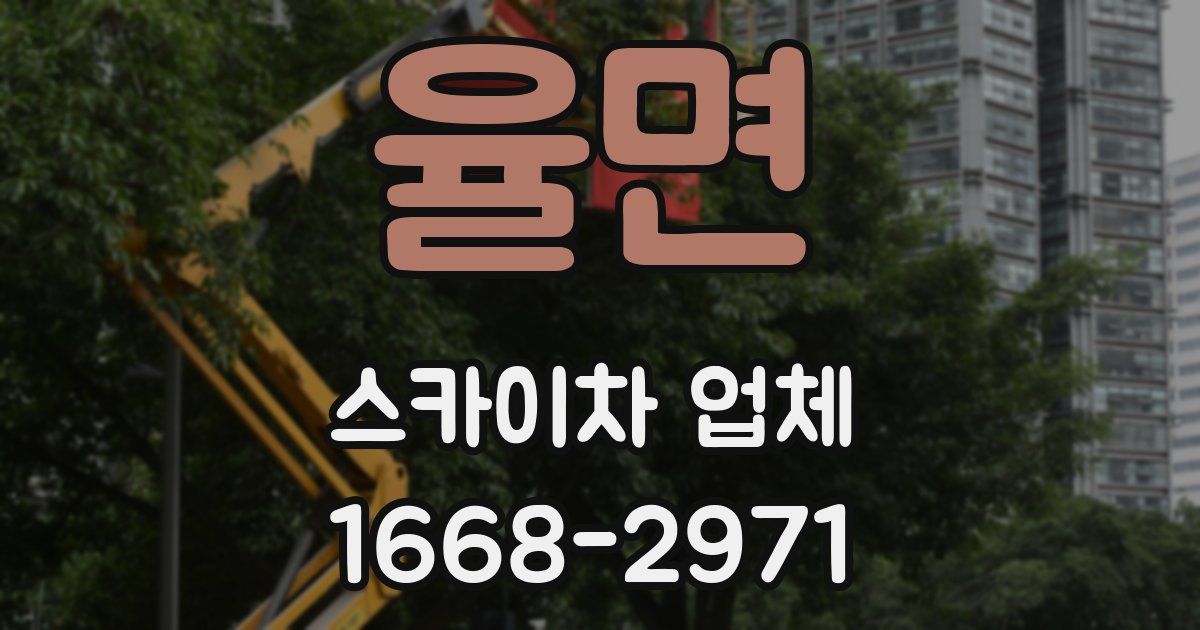 율면 스카이차 업체