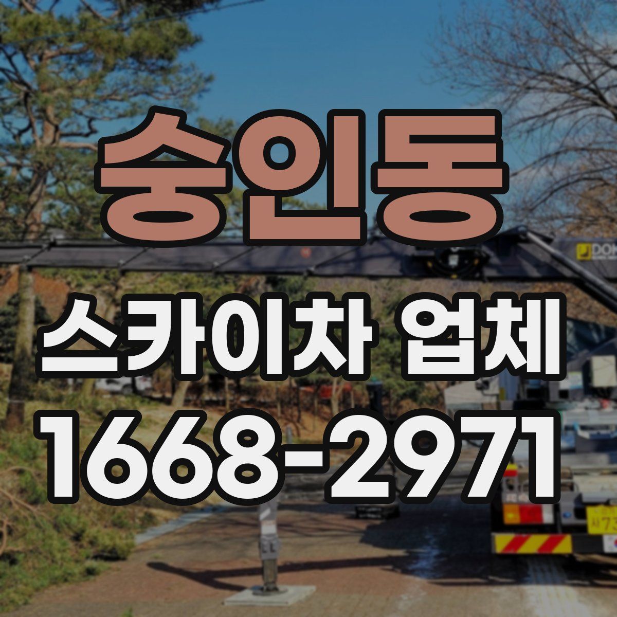 숭인동 스카이차 업체
