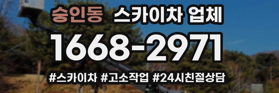 숭인동 스카이차 업체
