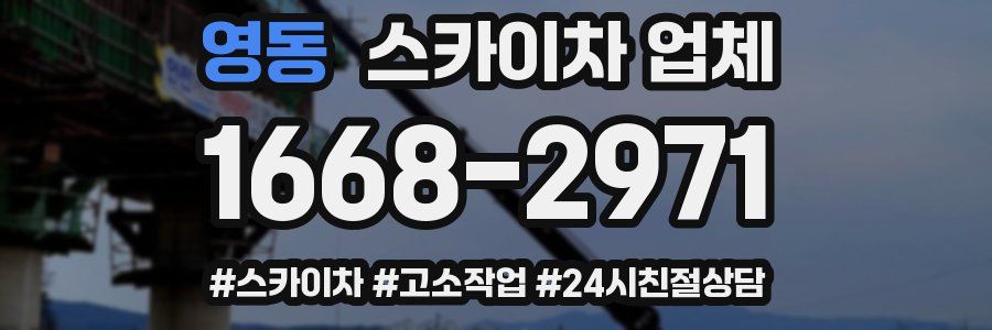 영동 스카이차 업체