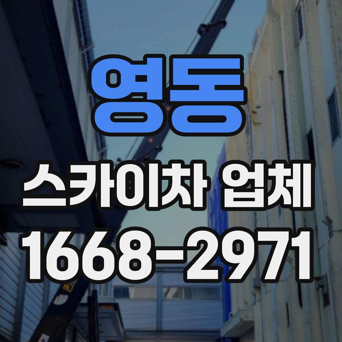 영동 스카이차 업체