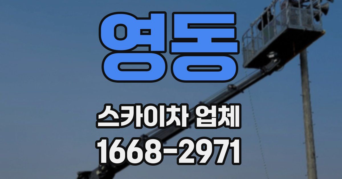 영동 스카이차 업체