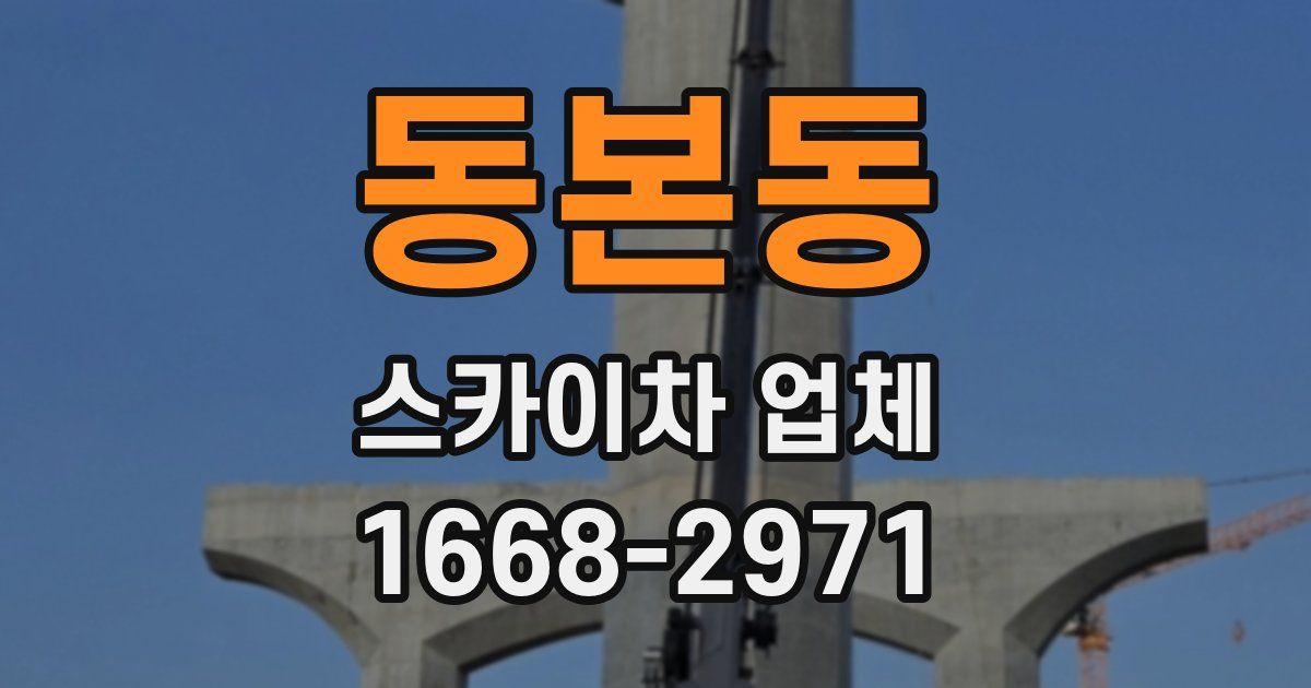 동본동 스카이차 업체