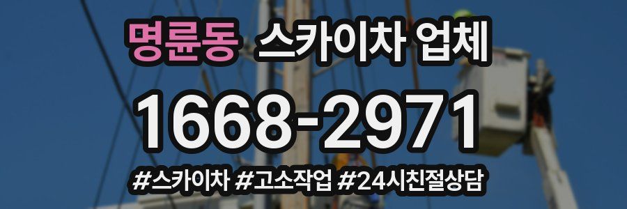 명륜동 스카이차 업체