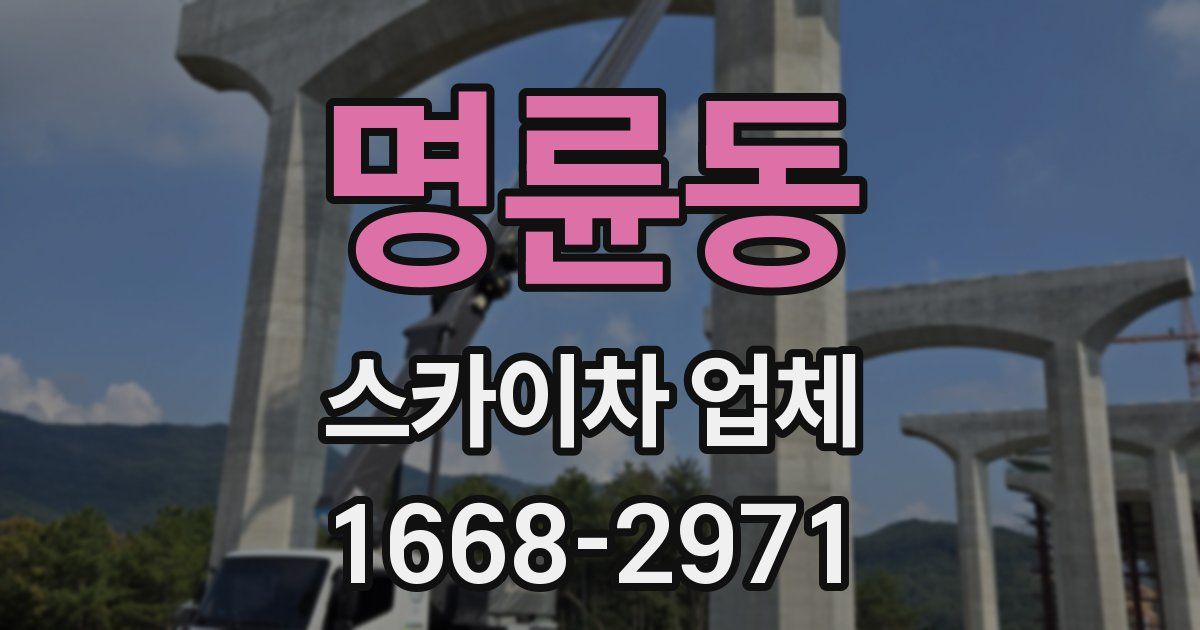 명륜동 스카이차 업체