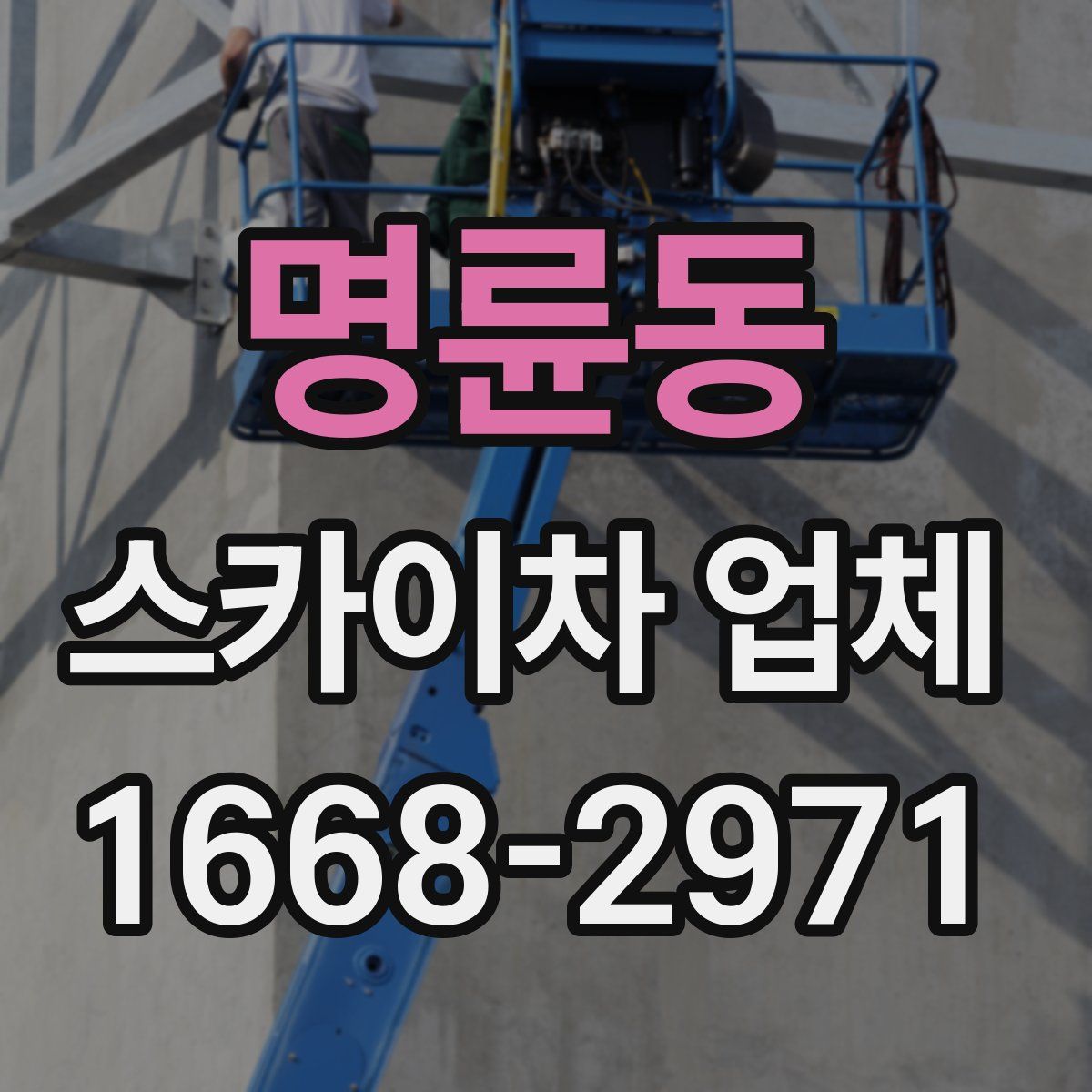 명륜동 스카이차 업체