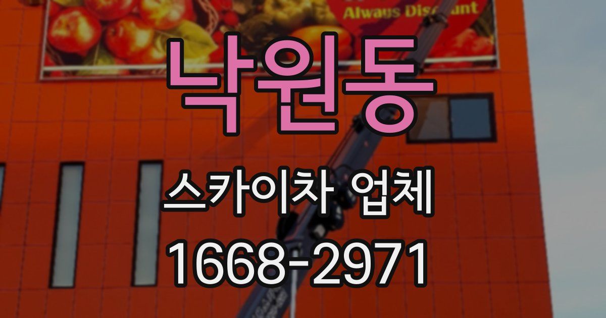 낙원동 스카이차 업체