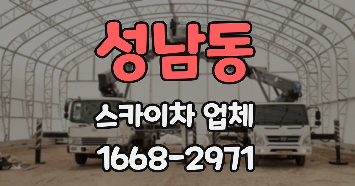 성남동 스카이차 업체