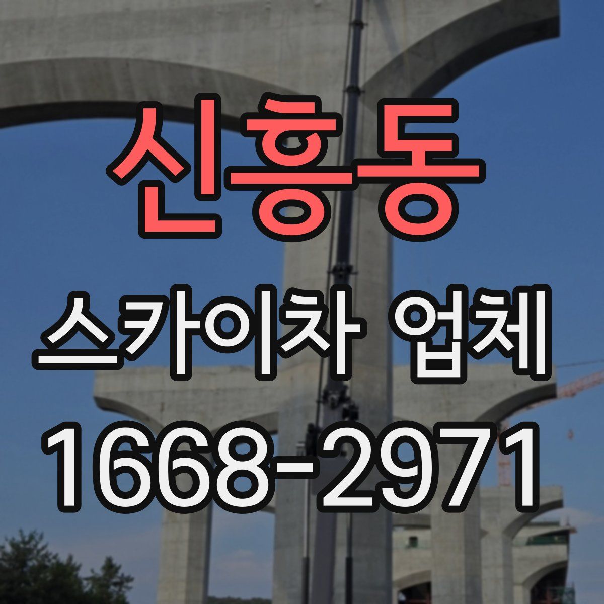 신흥동 스카이차 업체