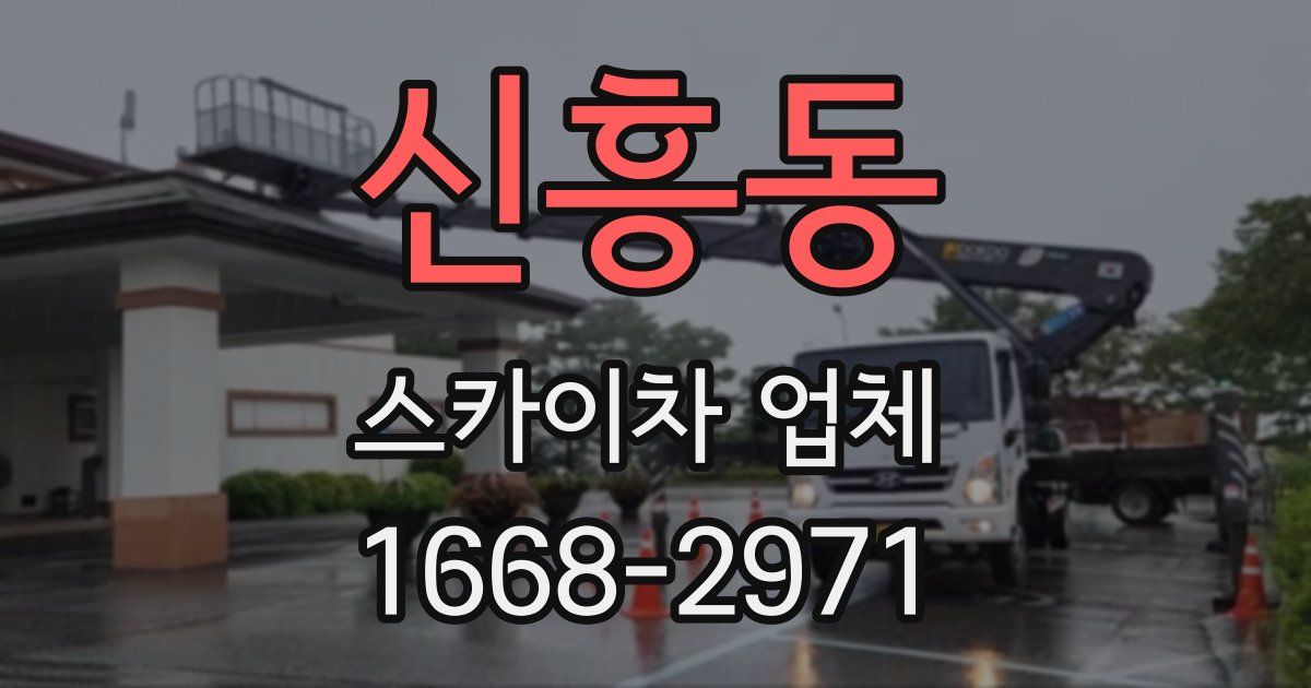 신흥동 스카이차 업체
