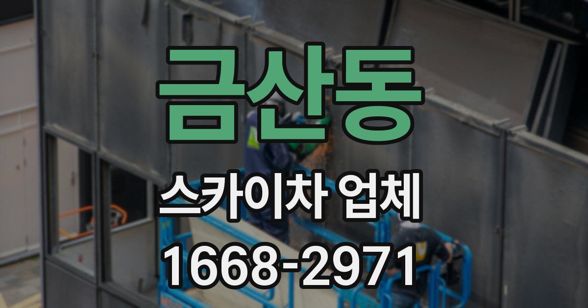 금산동 스카이차 업체